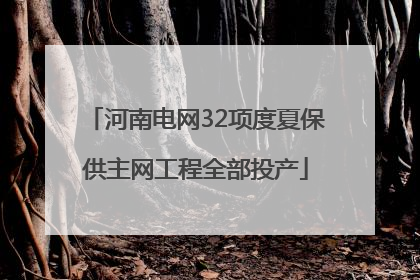 河南电网32项度夏保供主网工程全部投产